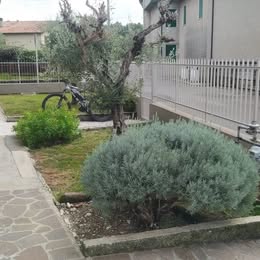 DISPONIBILE PENSIONE PER CANE DI PICCOLA/MEDIA TAGLIA