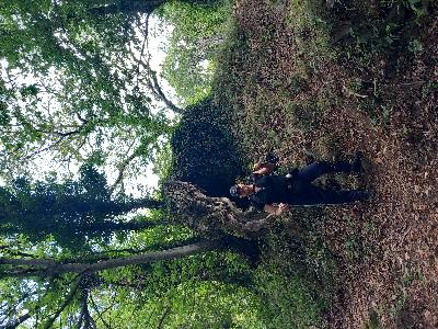 Serio uomo cerca compagna amicizia/amore