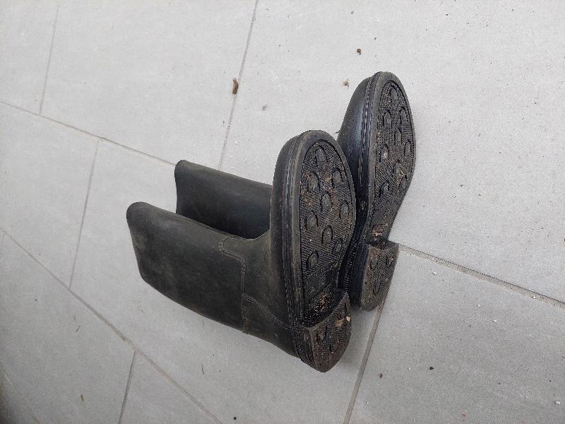 Stivali da cavallerizzo