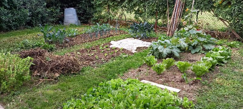 Coltivazione piccolo orto