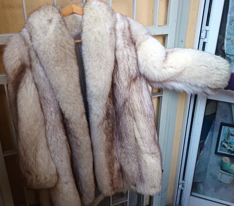 Pelliccia di volpe chiara Tg.48
