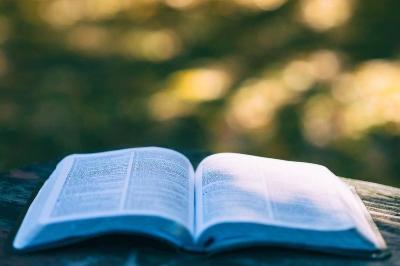 Rassegna Letteraria 25/26 - "Papà, che scrivi?"