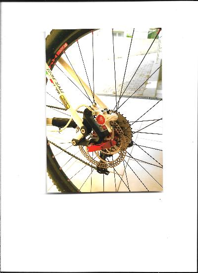 Bicicletta Mountain Bike