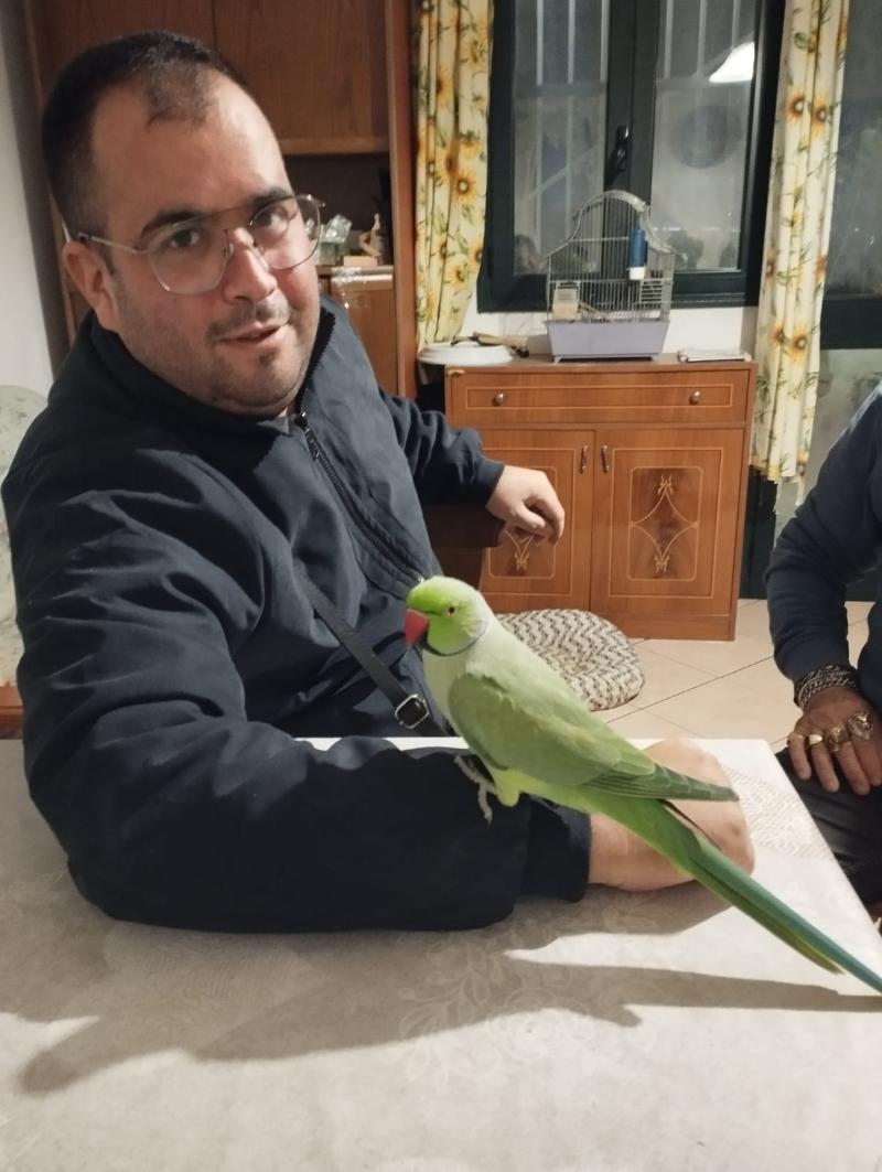 Cerco ragazza per storia seria