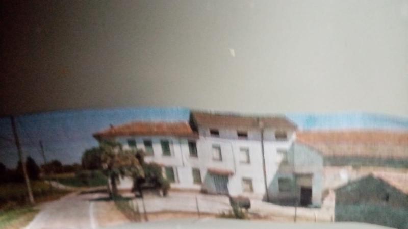 LOGHINO  DI  CAMPAGNA