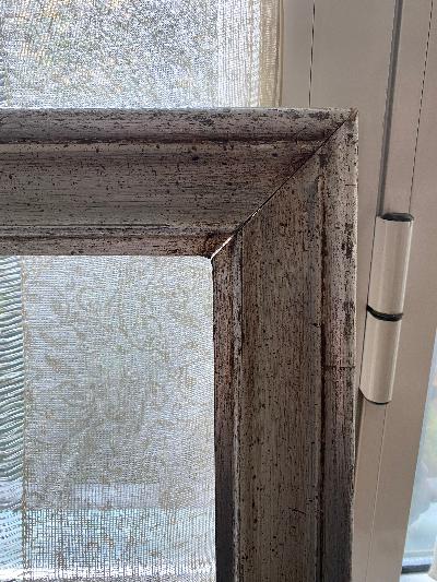 CORNICI VINTAGE VARIE MISURE