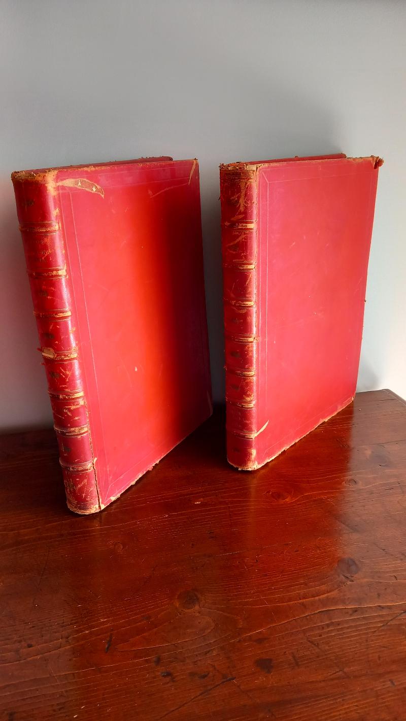 LA SACRA BIBBIA. ANTICO E NUOVO TESTAMENTO. Fratelli Treves Editori 1880-18