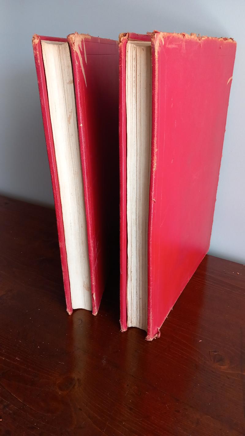 LA SACRA BIBBIA. ANTICO E NUOVO TESTAMENTO. Fratelli Treves Editori 1880-18