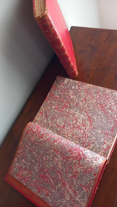 LA SACRA BIBBIA. ANTICO E NUOVO TESTAMENTO. Fratelli Treves Editori 1880-18