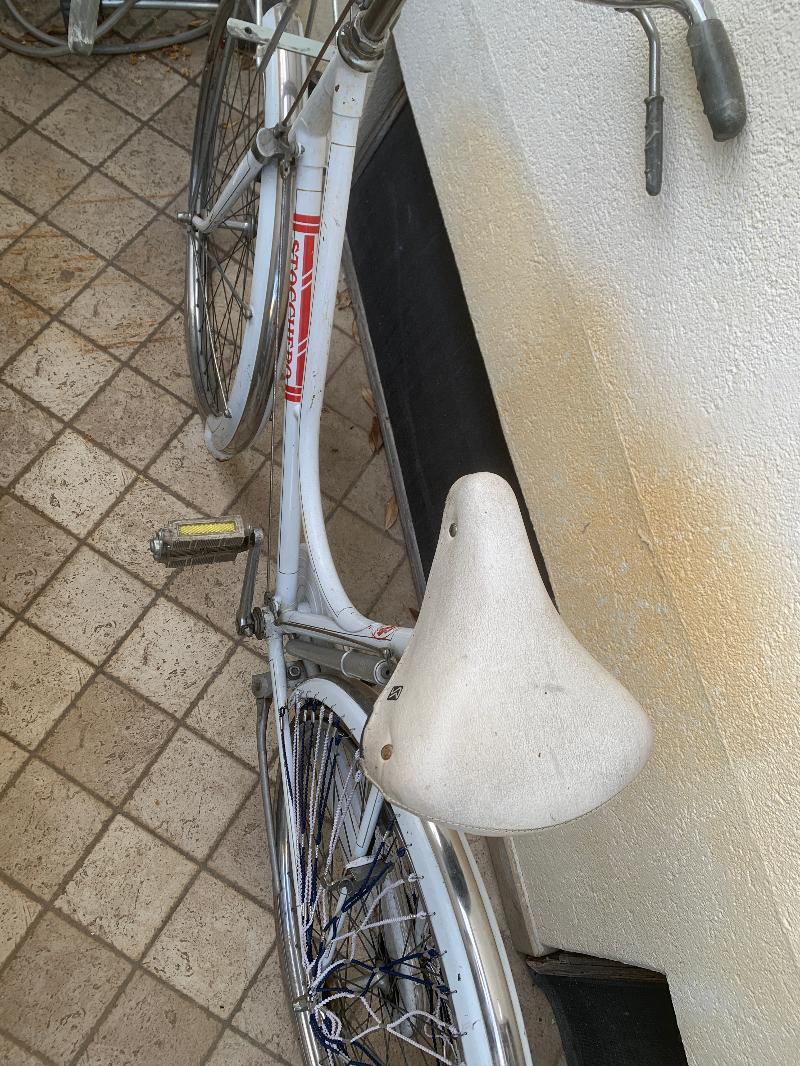 Bicicletta da donna
