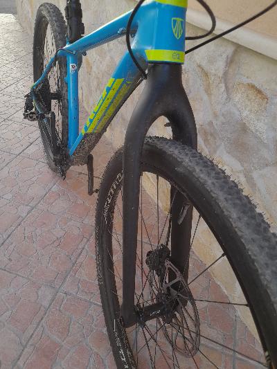 trek mtb 29" carbonio