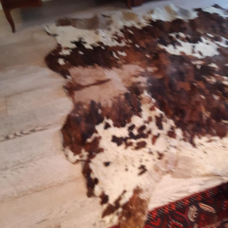 PELLE BOVINA