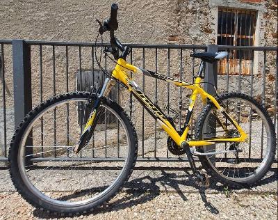 MTB Nuzzi
