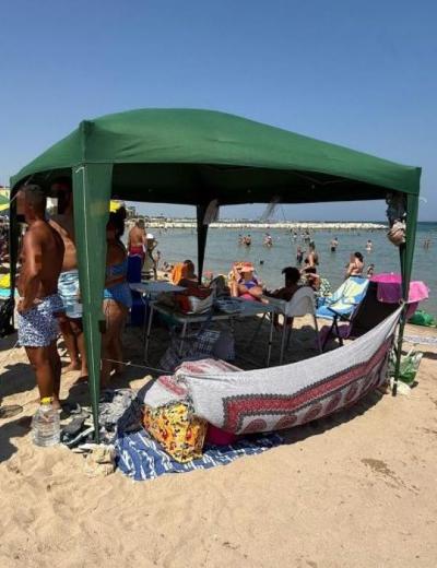 GAZEBO IN TELA VERDE