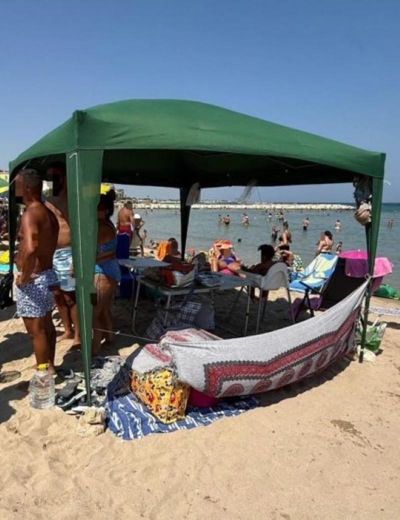 GAZEBO IN TELA VERDE