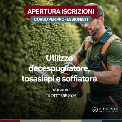 PATENTINO DECESPUGLIATORE, TOSASIEPI, SOFFIATORE – PIVERONE (TO)