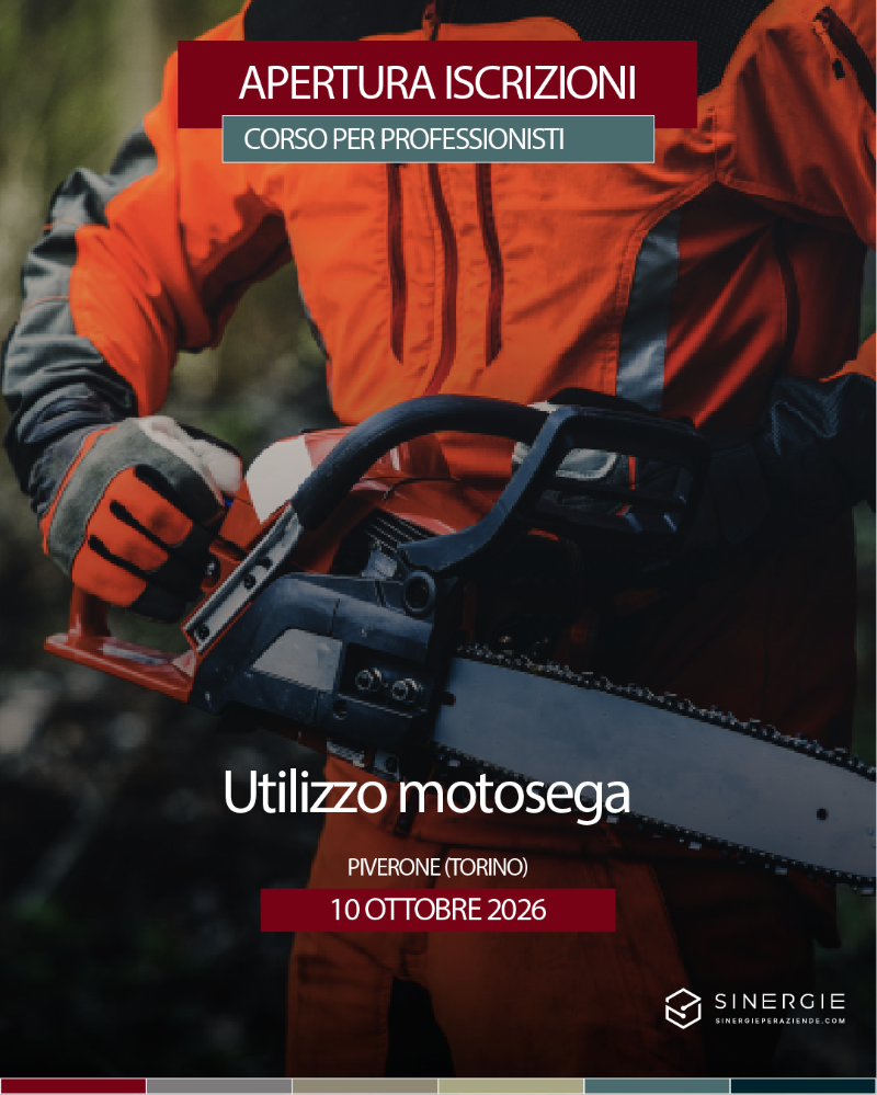 PATENTINO MOTOSEGA – PIVERONE (TO)