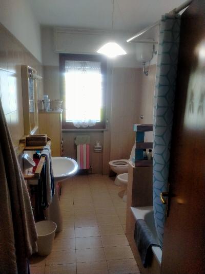 Stanza singola per studentessa ingegneria Ancona