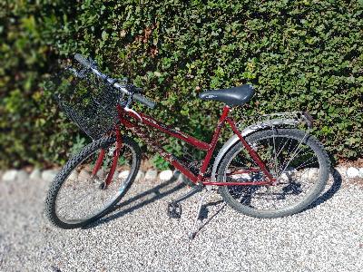 BICICLETTA DONNA