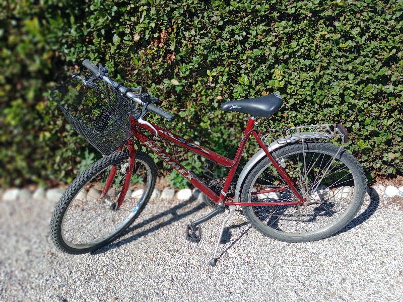 BICICLETTA DONNA