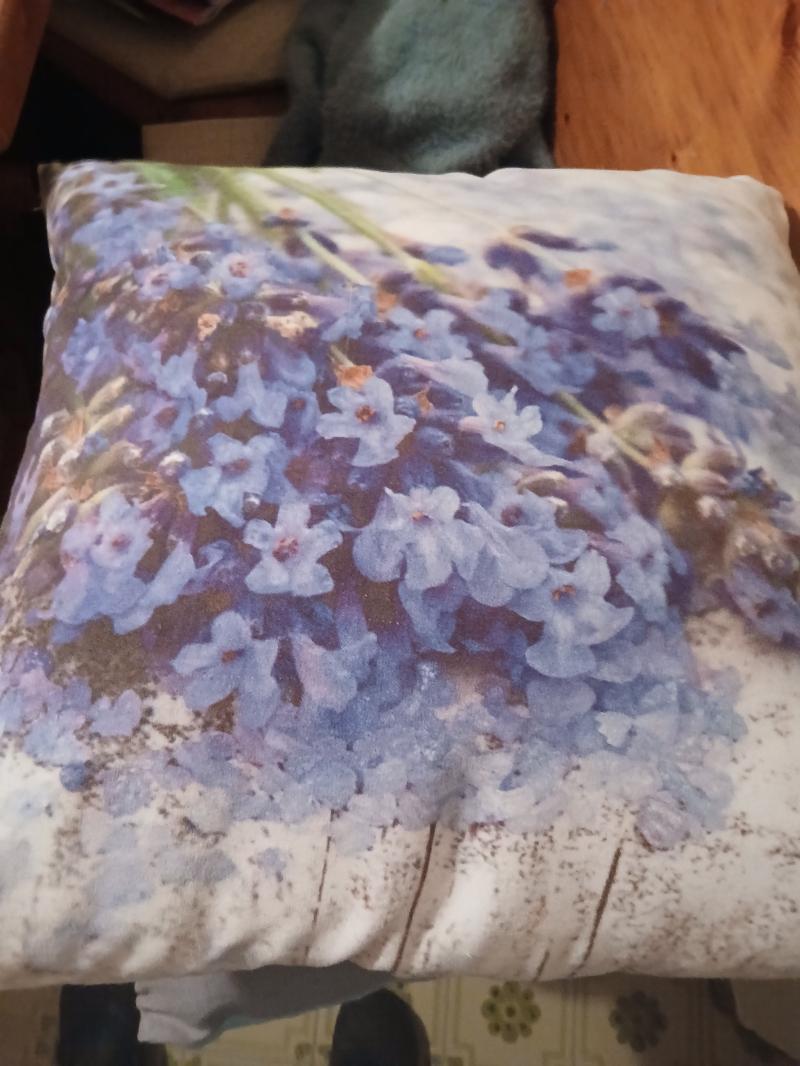 cuscini
