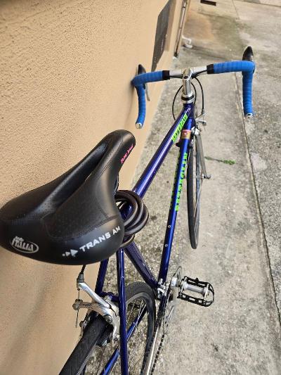 Bicicletta da corsa BATTAGLIN CAMPAGNOLO vintage