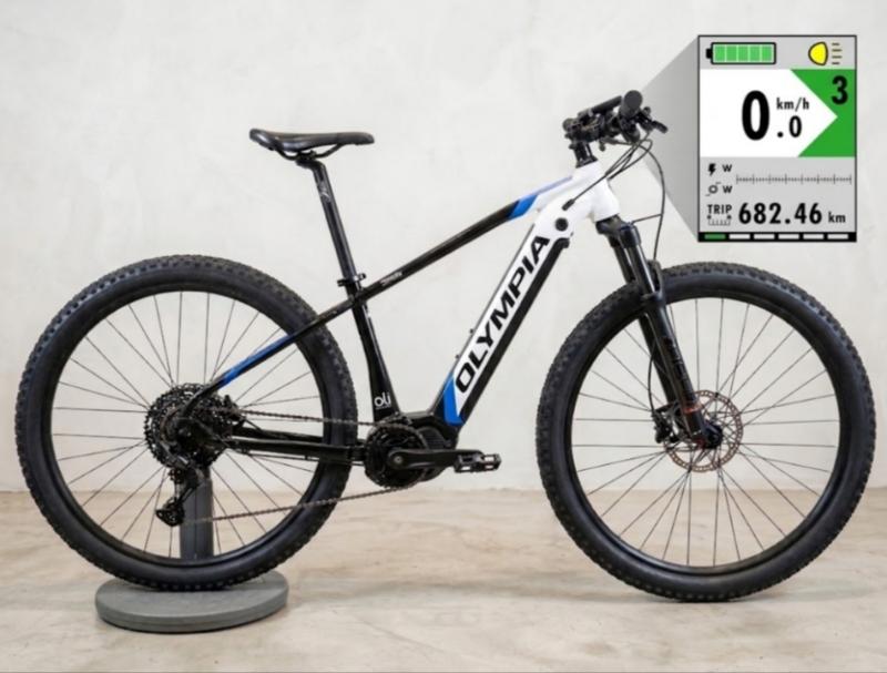 E-Bike Olympia Performer 29"